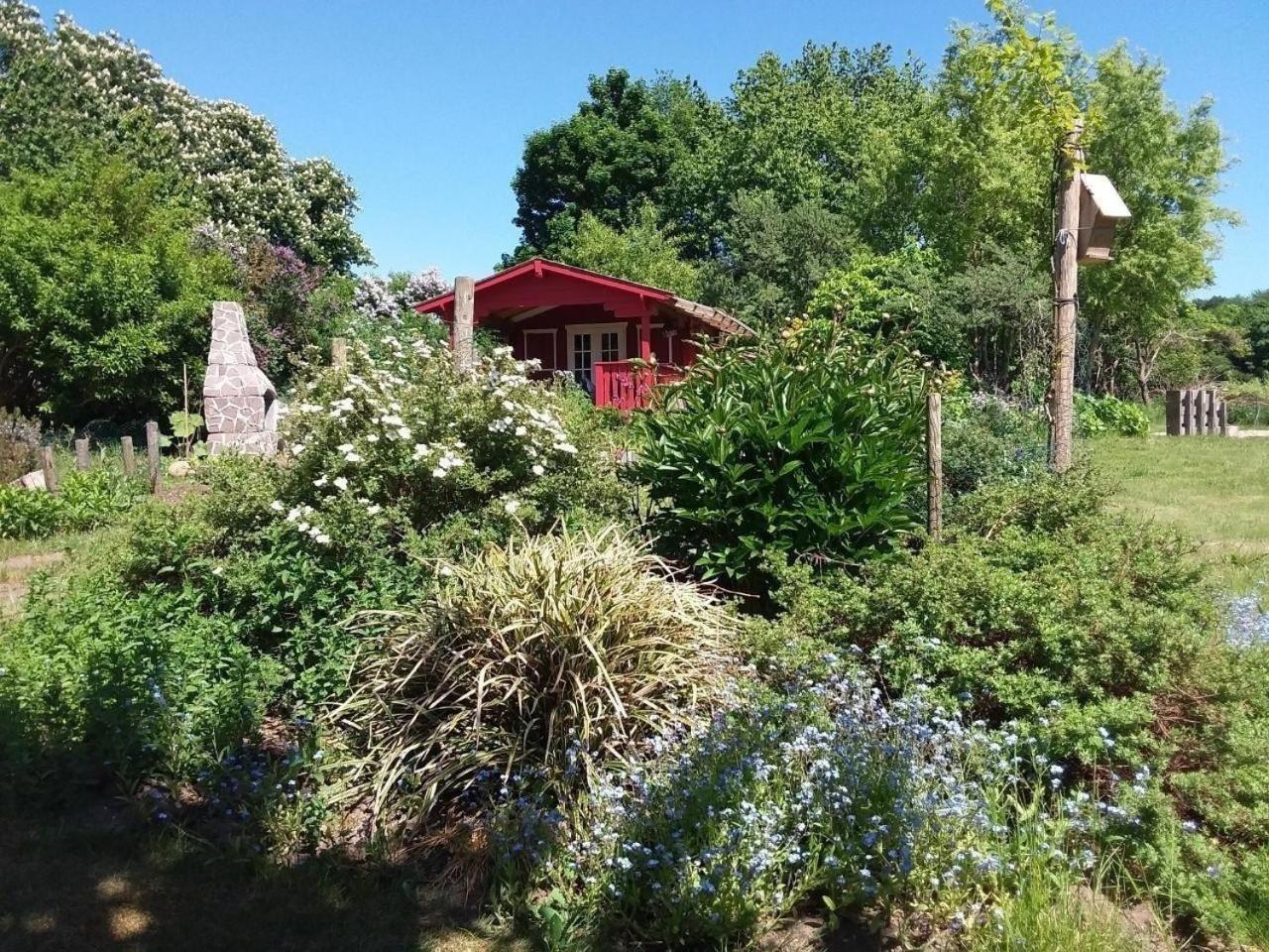 Ferienwohnung Ruhige Fewo Im Gruenen Mit Balkon, Terrasse Und Grossem Garten Sehlen Exterior foto